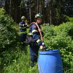 Große Waldbrandübung in Paudorf