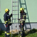 Grundlagen Führen in Watzelsdorf