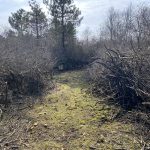 KHD-Übung mit Sonderdienst Waldbrand