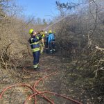 KHD-Übung mit Sonderdienst Waldbrand