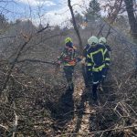 KHD-Übung mit Sonderdienst Waldbrand