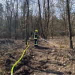 KHD-Übung mit Sonderdienst Waldbrand