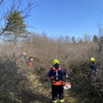 KHD-Übung mit Sonderdienst Waldbrand