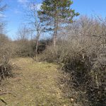 KHD-Übung mit Sonderdienst Waldbrand