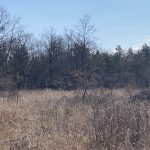 KHD-Übung mit Sonderdienst Waldbrand