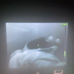 Modul Atemschutzgeräteträger