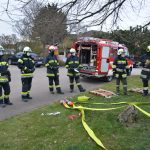 Modul Grundlagen Führen