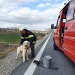 PKW-Unfall bei Unfahrung Maissau