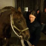 Tierretting von der Schlange bis zum Pferd in Minichhofen
