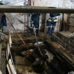 Tierrettung Unternalb