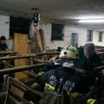 Tierrettung Unternalb