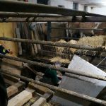 Tierrettung Unternalb