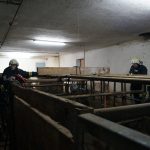 Tierrettung Unternalb