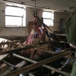 Tierrettung Unternalb