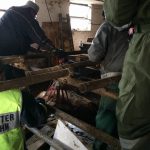 Tierrettung Unternalb