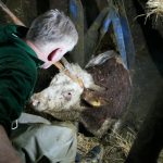 Tierrettung Unternalb