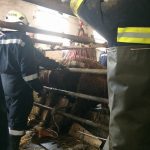 Tierrettung Unternalb