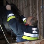 UA-Übung am Pferdehof in Hohenwarth