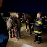 UA-Übung Pferdehof in Hohenwarth