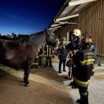 UA-Übung Pferdehof in Hohenwarth