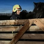 UA-Übung Pferdehof in Hohenwarth