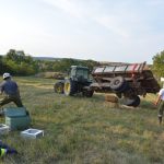 UA-Übung Ravelsbach in Pfastetten