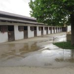 Unterabschnittsübung mit integrierter Funkübung in Minichhofen