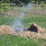 Waldbrandübung B3+ des UA Hohenwarth-Mühlbach in Olbersdorf