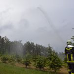 Waldbrandübung B3+ des UA Hohenwarth-Mühlbach in Olbersdorf