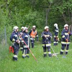 Waldbrandübung B3+ des UA Hohenwarth-Mühlbach in Olbersdorf