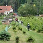 Waldbrandübung B3+ des UA Hohenwarth-Mühlbach in Olbersdorf