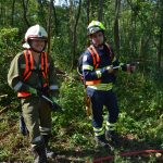 Waldbrandübung im Raum Mühlbach am Manhartsberg