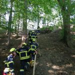 Waldbrandübung im Raum Mühlbach am Manhartsberg