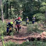 Waldbrandübung im Raum Mühlbach am Manhartsberg