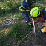 Waldbrandübung im Raum Mühlbach am Manhartsberg