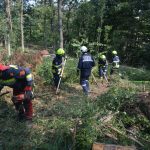 Waldbrandübung im Raum Mühlbach am Manhartsberg