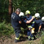 Waldbrandübung im Raum Mühlbach am Manhartsberg