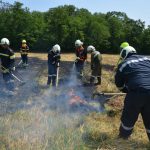 Waldbrandübung im Raum Mühlbach am Manhartsberg
