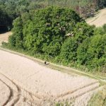 Waldbrandübung im Raum Mühlbach am Manhartsberg