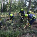 Waldbrandübung im Raum Mühlbach am Manhartsberg