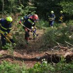 Waldbrandübung im Raum Mühlbach am Manhartsberg