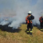 Waldbrandübung im Raum Mühlbach am Manhartsberg