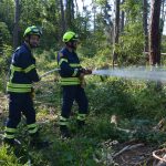 Waldbrandübung im Raum Mühlbach am Manhartsberg