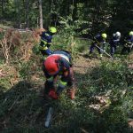 Waldbrandübung im Raum Mühlbach am Manhartsberg