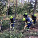 Waldbrandübung im Raum Mühlbach am Manhartsberg