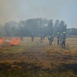 Waldbrandübung im Raum Mühlbach am Manhartsberg