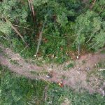 Waldbrandübung im Raum Mühlbach am Manhartsberg