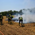 Waldbrandübung im Raum Mühlbach am Manhartsberg