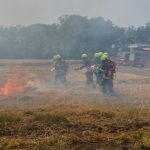 Waldbrandübung im Raum Mühlbach am Manhartsberg