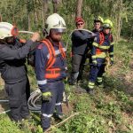 Waldbrandübung im Raum Mühlbach am Manhartsberg